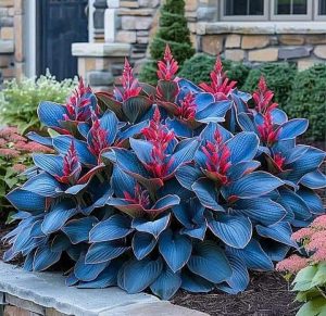 Хоста Грин Фог купить по цене от 669р. в интернет-магазине «Посадика» с доставкой почтой в в Свободныйе и по всей России – [изображение №1].