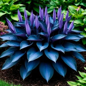 Хоста Сикрет Гров купить по цене от 570р. в интернет-магазине «Посадика» с доставкой почтой в в Свободныйе и по всей России – [изображение №1].